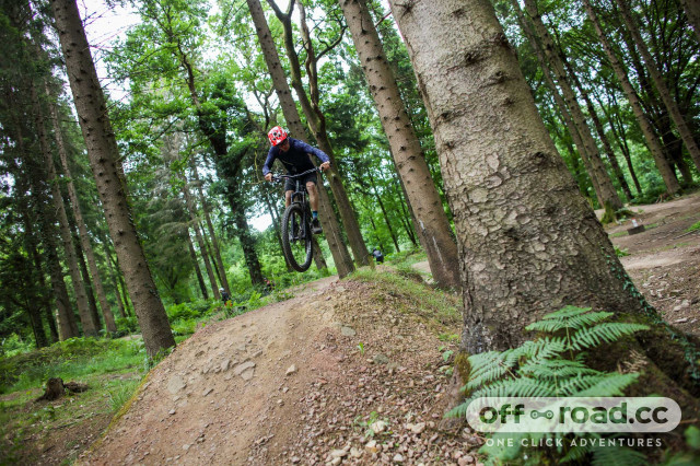 Forest of shop dean mountain biking